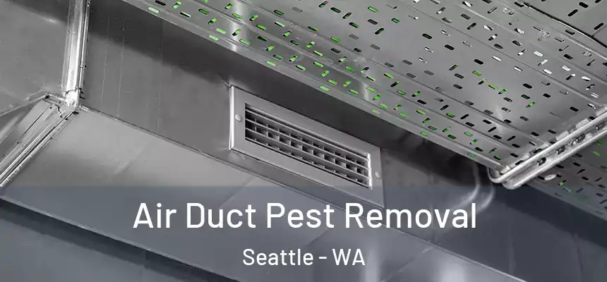 Air Duct Pest Removal Seattle - WA