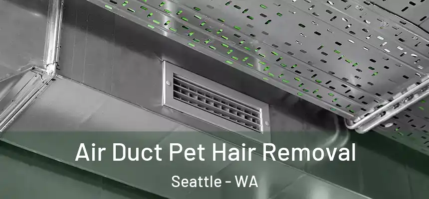 Air Duct Pet Hair Removal Seattle - WA