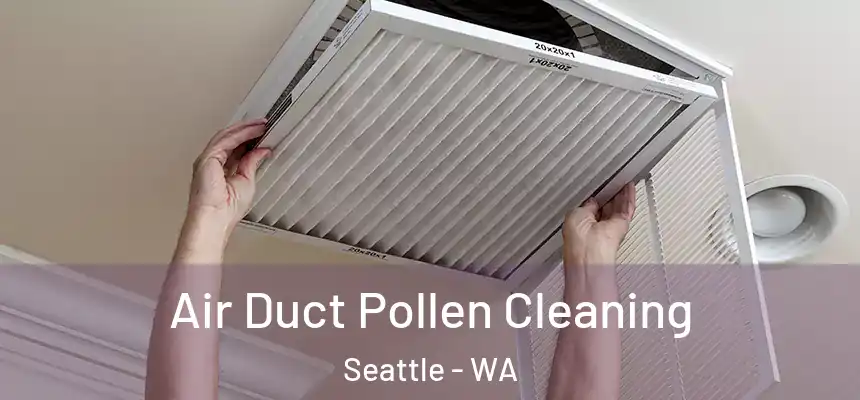 Air Duct Pollen Cleaning Seattle - WA