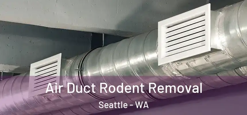 Air Duct Rodent Removal Seattle - WA