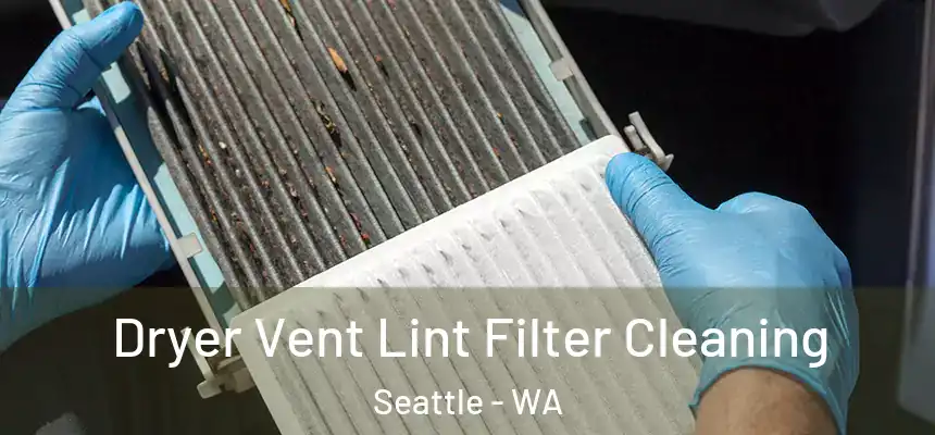 Dryer Vent Lint Filter Cleaning Seattle - WA
