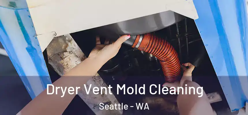 Dryer Vent Mold Cleaning Seattle - WA