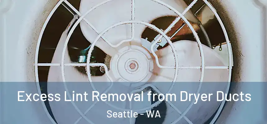 Excess Lint Removal from Dryer Ducts Seattle - WA