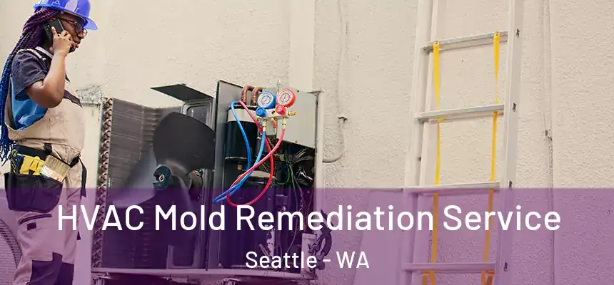 HVAC Mold Remediation Service Seattle - WA