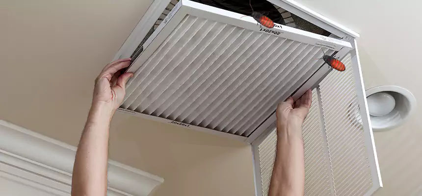 Preventive Cockroach-Proofing for Ducts in Seattle