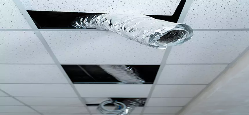 Our Air Duct Pet Hair Removal Services in Seattle, WA