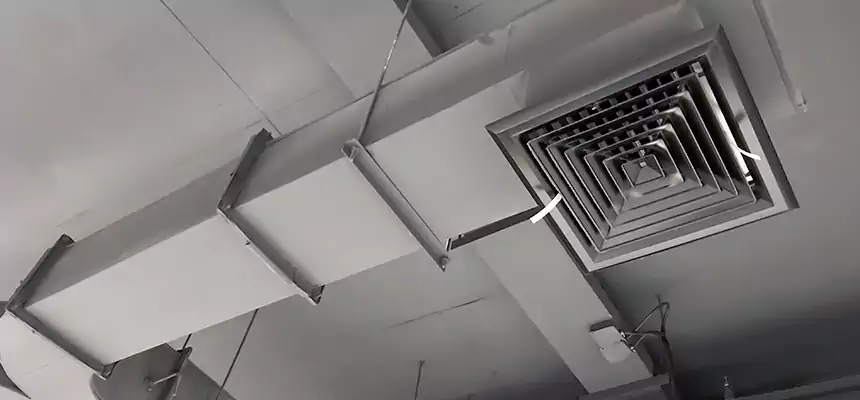 Restorative Allergy Relief Vent Cleaning – Coil, Blower & Housing Detail in Seattle