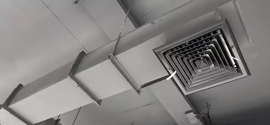 Our Rodent Droppings In Vents Services in Seattle, WA