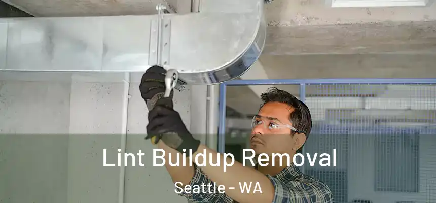 Lint Buildup Removal Seattle - WA
