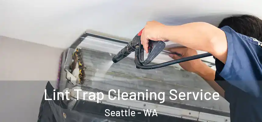 Lint Trap Cleaning Service Seattle - WA