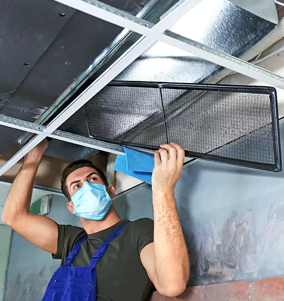 About Air Duct Bacteria Removal in Seattle