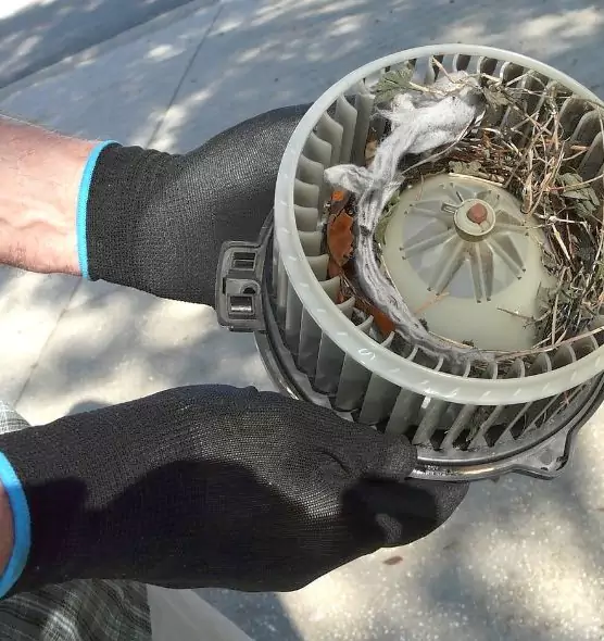 About Air Duct Rat Removal in Seattle, WA