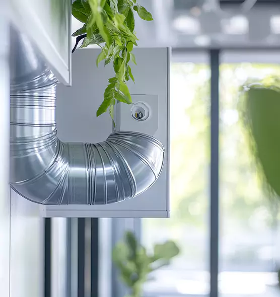 Professional Eco-Friendly Duct Cleaning Services in Seattle, WA