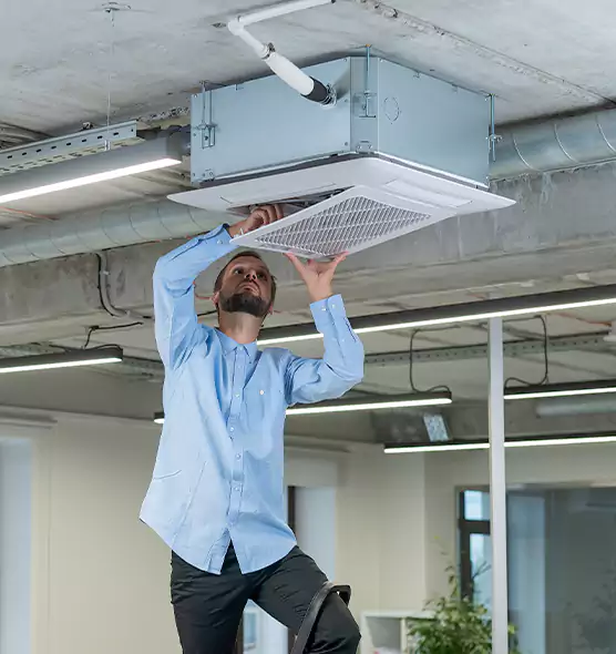 Advanced Rodent Droppings In Vents in Seattle, WA