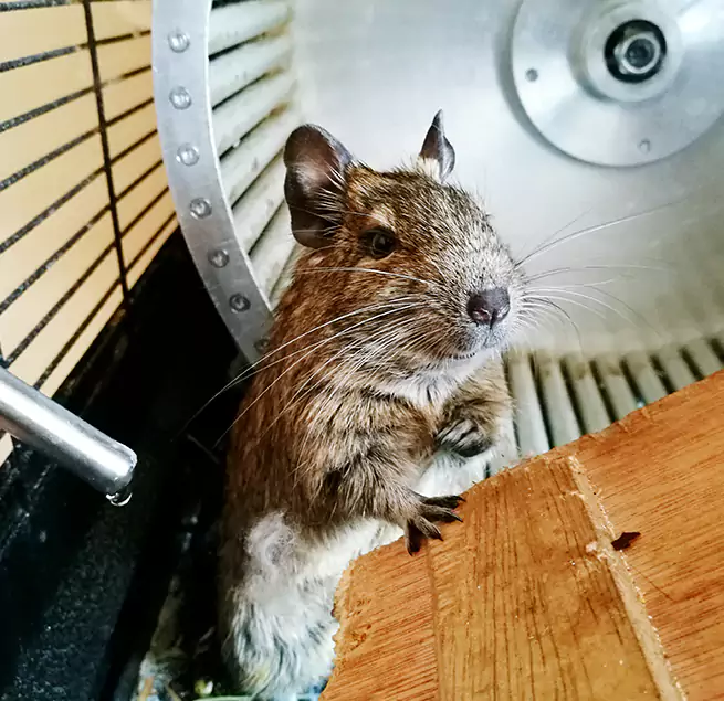 Why Homeowners & Businesses Trust Us Seattle, WA?