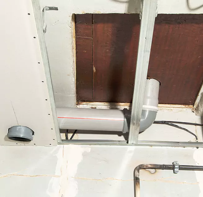 Why Homeowners & Businesses Trust Us in Seattle, WA?