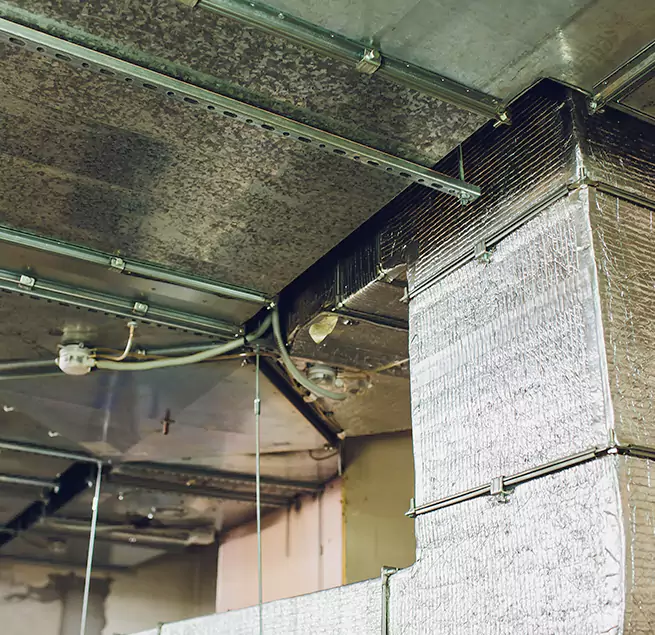 Why Homeowners & Businesses Trust Us in Seattle, WA?