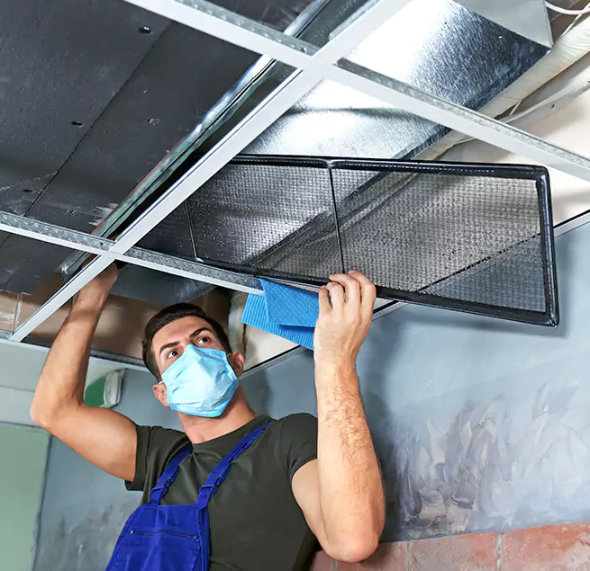 Why Homeowners & Businesses Trust Us in Seattle, WA?